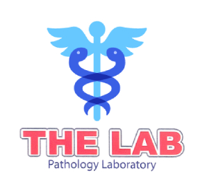 The lab client